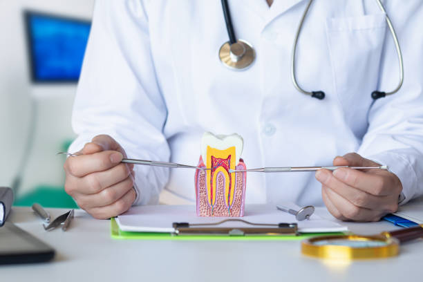 Best Pediatric Emergency Dentist in Toulon, IL